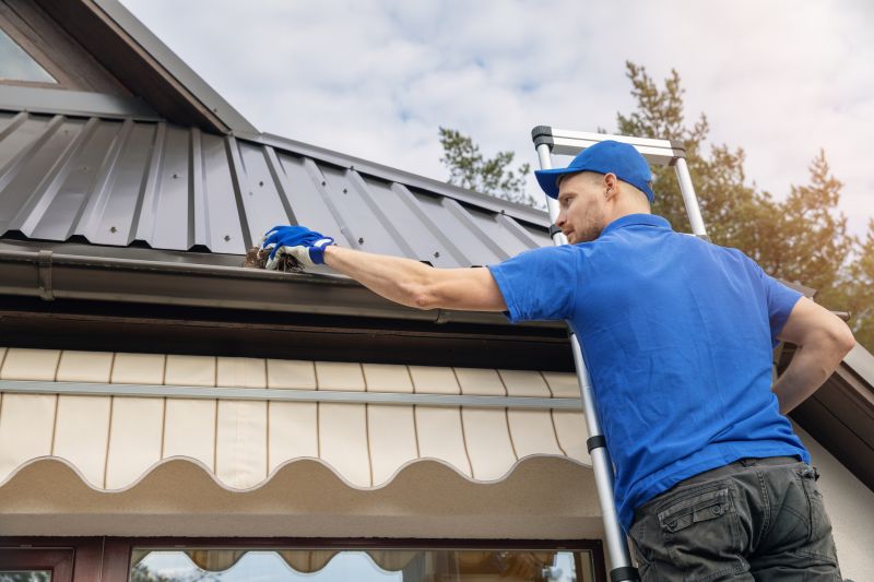 Gutter Maintenance Specialists